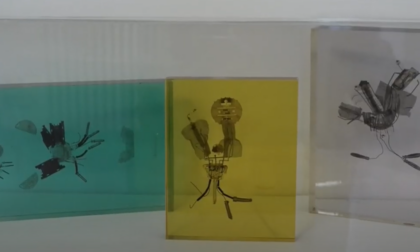Inaugurata ad Acqui Terme la mostra antologica dedicata a Bruno Munari