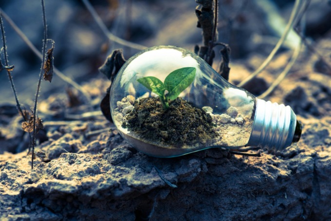 Il futuro fa rima con sostenibilità. E ora anche le imprese diventano green