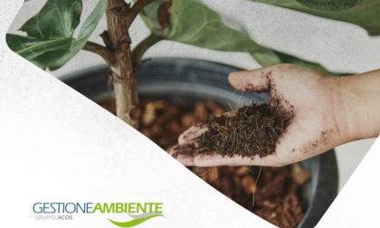 Gestione Ambiente: riattivato il servizio di ritiro gratuito del compost