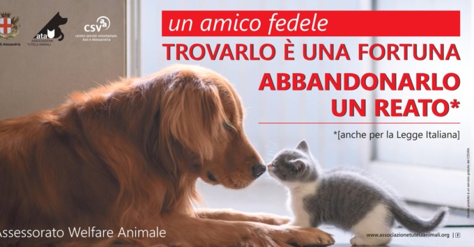 Alessandria: la campagna contro gli abbandoni estivi