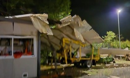 Alessandria, alberi caduti nella tempesta di ieri sera