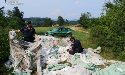 Rifiuti abbandonati in un'area protetta del Parco del Po a Coniolo: scoperto il responsabile