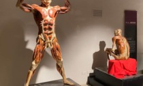 "Real Bodies", la grande mostra di anatomia umana al Castello del Monferrato