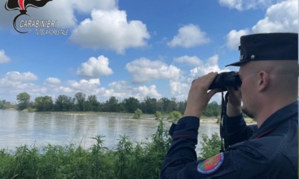 Carabinieri Forestali, i risultati della campagna "Fiume Sicuro 2024"