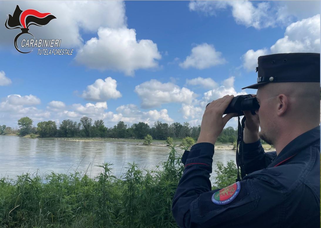Carabinieri Forestali Fiume Sicuro