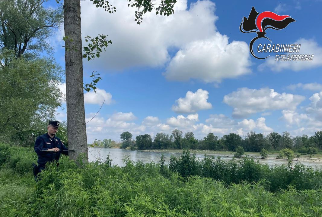 FIUME SICURO 2024 (6)