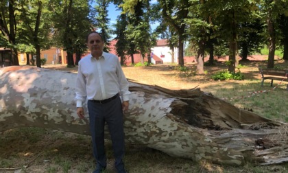 Sciaudone sul Marengo Hub: "In completo isolamento rispetto alla città, serve una navetta"