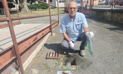 Come rendere inospitali i tombini per le zanzare: l'ultima invenzione di Asghar Talbalaghi