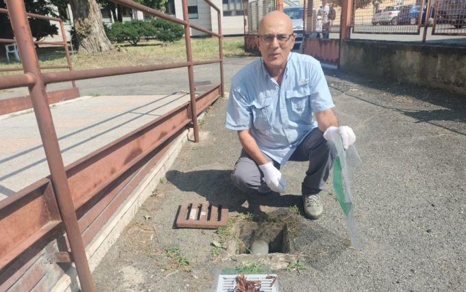 Come rendere inospitali i tombini per le zanzare: l’ultima invenzione di Asghar Talbalaghi