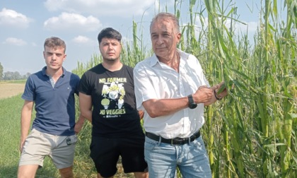 L'assessore regionale all'Agricoltura in mezzo ai campi flagellati dalla grandine
