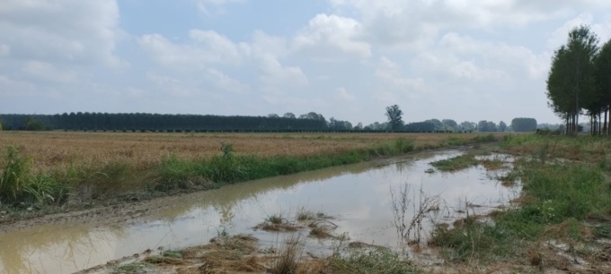 Gli Agricoltori Autonomi Italiani chiedono un tavolo permanente per l’agricoltura piemontese