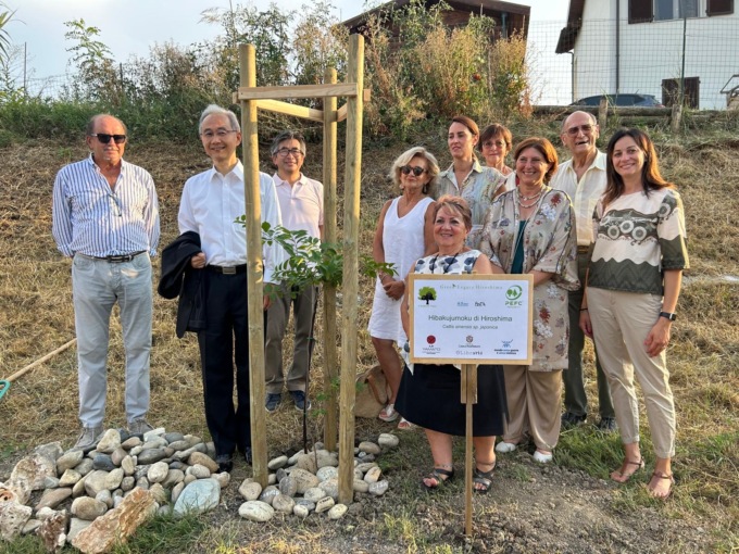 Il germoglio della resilienza cresce a Casale Monferrato: piantato l’albero sopravvissuto all’atomica