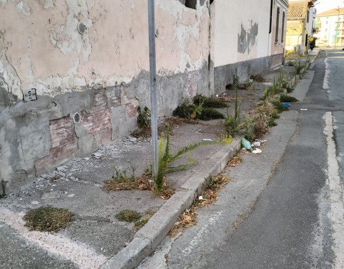 Erbacce, guano, blatte e topi morti in via Vespa a Spinetta Marengo: la denuncia della Lega