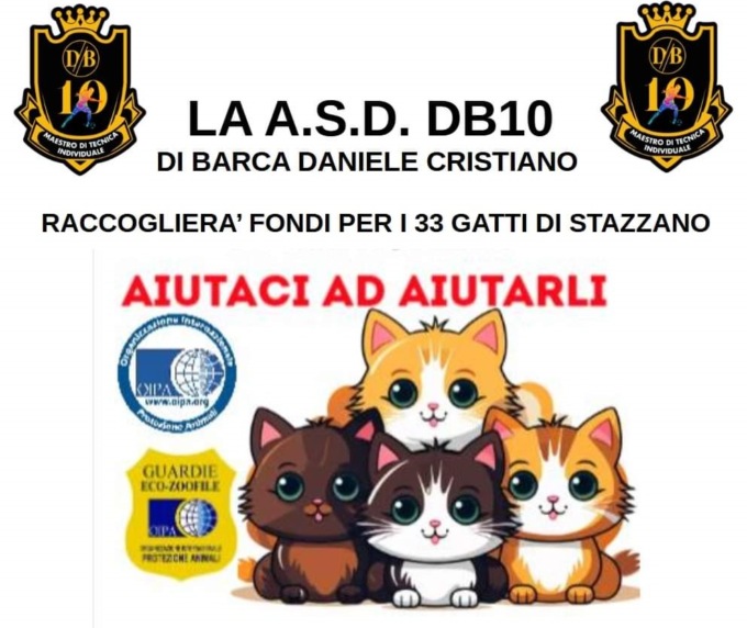 ASD DB10: un banchetto benefico per aiutare i 33 gatti sequestrati a Stazzano