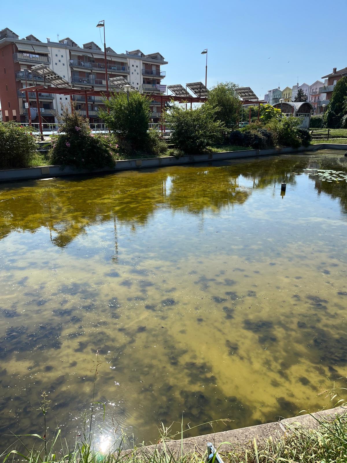 dopo inervento amag ambiente 1