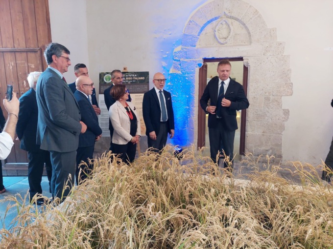 G7 dell’Agricoltura: il riso italiano protagonista della Divinazione Expo 2024
