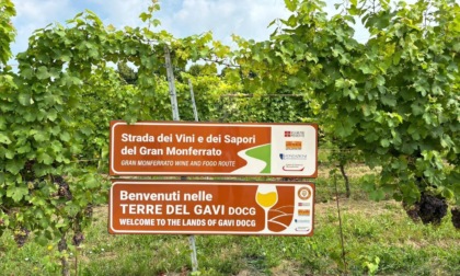 Inaugurata la cartellonistica della Strada dei Vini e dei Sapori del Gran Monferrato