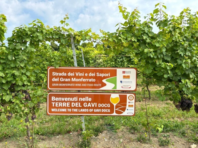 Inaugurata la cartellonistica della Strada dei Vini e dei Sapori del Gran Monferrato