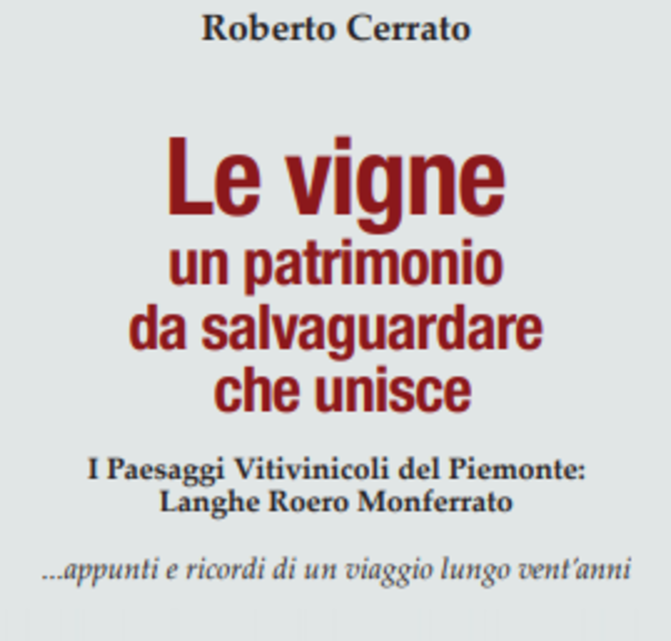 Bruno, domani la presentazione di “Le vigne, un patrimonio da salvaguardare che unisce”