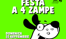 Il 22 settembre torna la "Festa a 4 zampe" al canile rifugio Cascina Rosa di Valmadonna