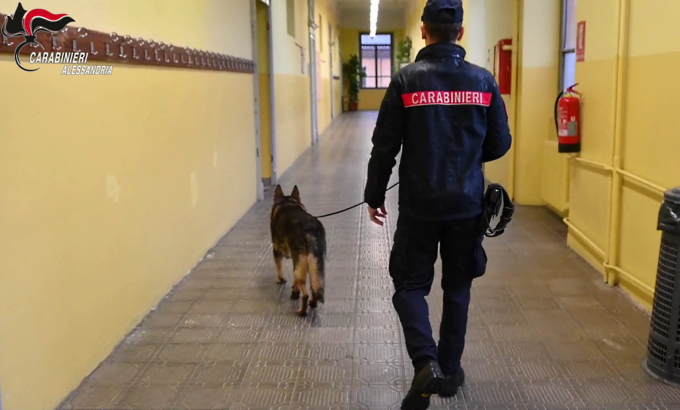 Proseguono i controlli antidroga nelle scuole della provincia di Alessandria