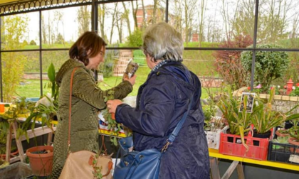 Cosa fare ad Alessandria e provincia nel fine settimana: gli eventi del 26 e 27 ottobre