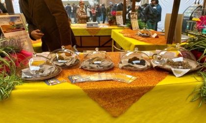 Fine settimana all’insegna della fiera di San Baudolino ad Alessandria