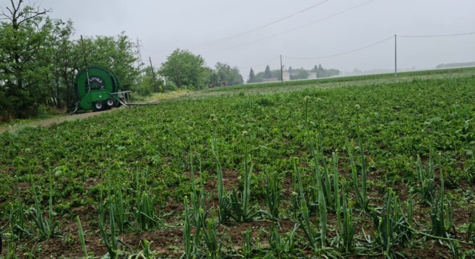 Annata nera per l’agricoltura alessandrina: Cia chiede lo stato di calamità