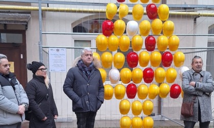 Nel cortile del Comune di Alessandria torna l'albero di Natale dell'Anmil