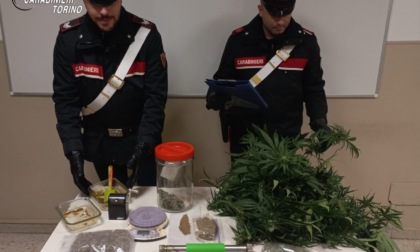 Trovato con una piantagione di marijuana in casa: agli arresti domiciliari 40enne di Vistrorio