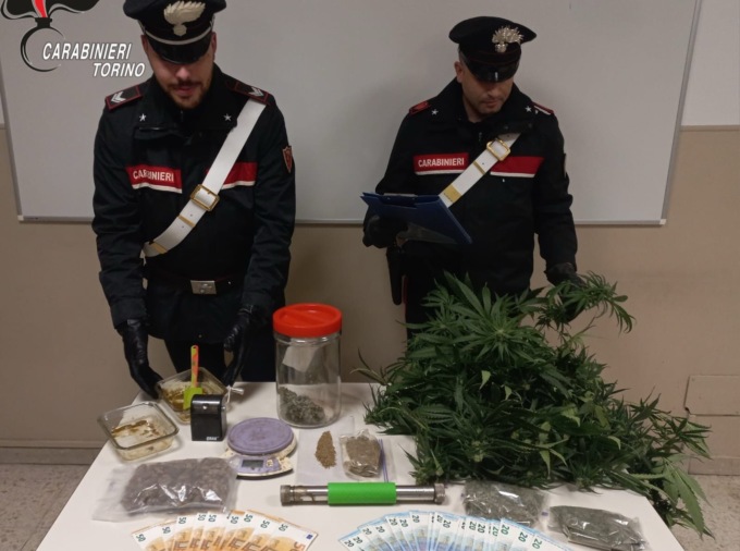 Trovato con una piantagione di marijuana in casa: agli arresti domiciliari 40enne di Vistrorio