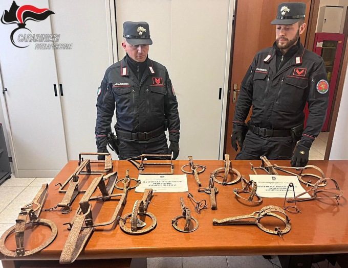 Vendono tagliole per la fauna selvatica online: scoperti dai Carabinieri Forestali