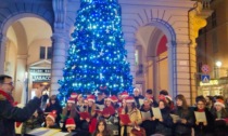 L'accensione dell'albero di Natale in piazza della Libertà ad Alessandria