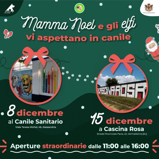 L’8 dicembre apertura natalizia al canile sanitario e gattile di Alessandria