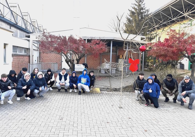 A Novi Ligure un addobbo natalizio realizzato dagli studenti del For.Al