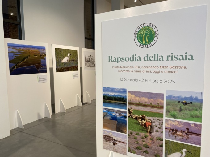 Una mostra alla scoperta della coltivazione del riso