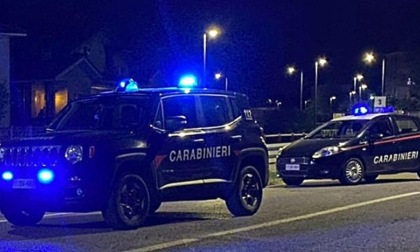 Bande di topi d’appartamento sgominate dai Carabinieri