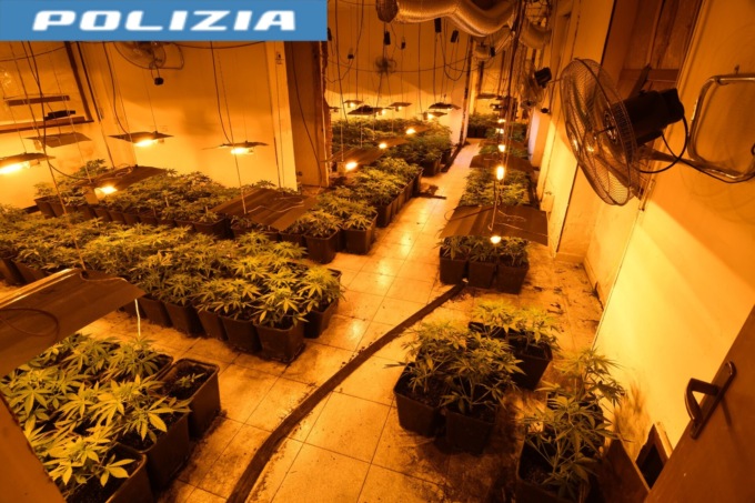 La polizia di Alessandria scopre una piantagione di cannabis in un albergo in disuso