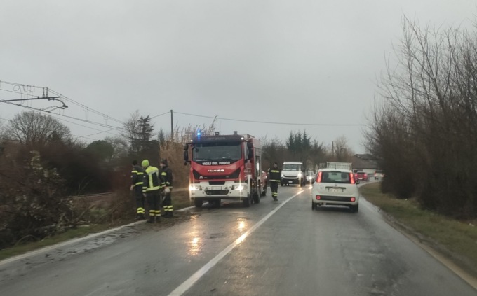 Maltempo nell’Alessandrino: diversi interventi dei Vigili del Fuoco per alberi pericolanti
