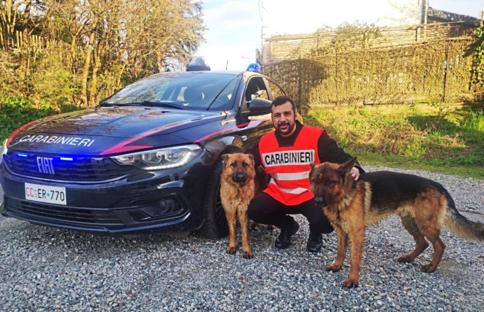 Due pastori tedeschi vagano smarriti a Pietra Marazzi: tornati a casa grazie ai Carabinieri