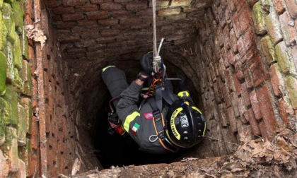 I Vigili del Fuoco salvano un cane caduto in un pozzo a Quargnento