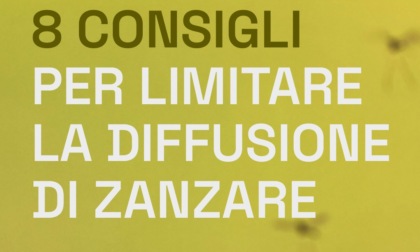 Consigli per limitare la diffusione di zanzare: la campagna informativa a Casale Monferrato