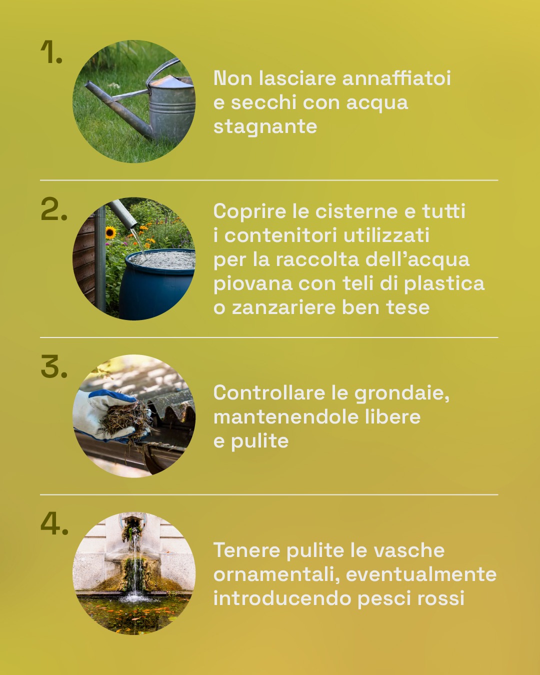 Campagna informativa zanzare Casale