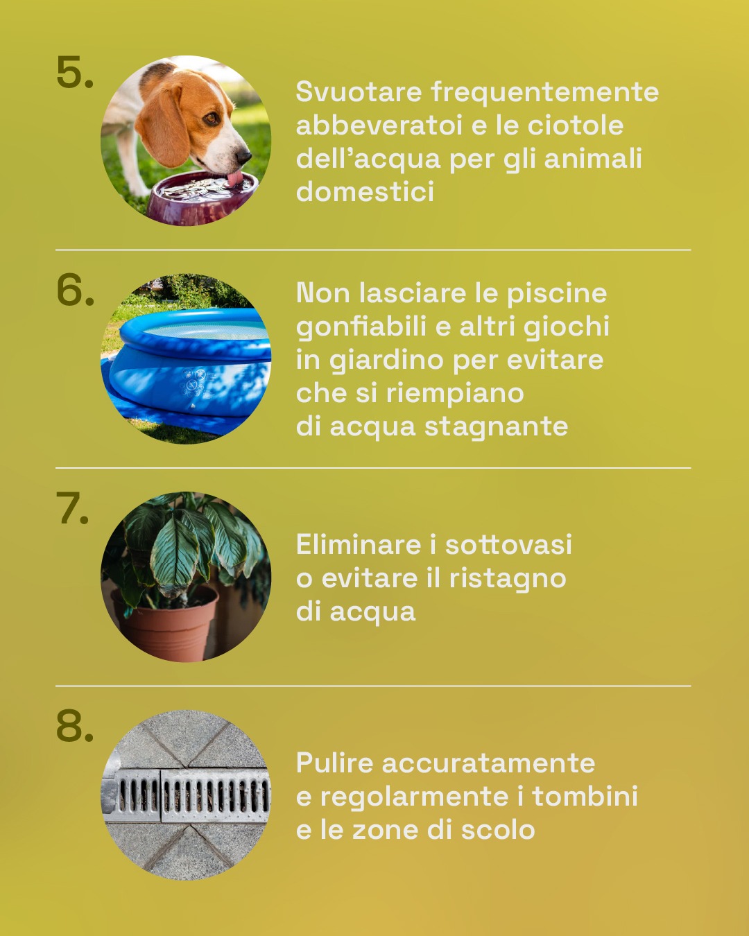 Campagna informativa zanzare Casale (2)