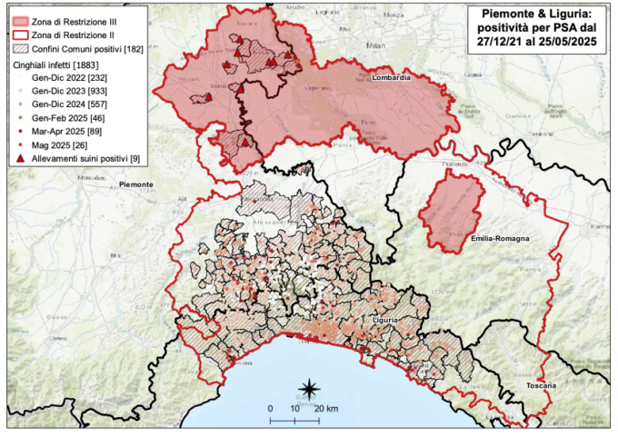 Peste suina africana: 8 nuovi casi tra Piemonte e Liguria
