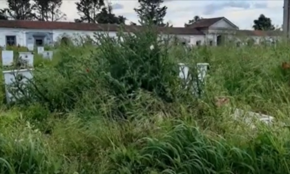 Cimiteri di Alessandria, dal 1° luglio la gestione torna al Comune