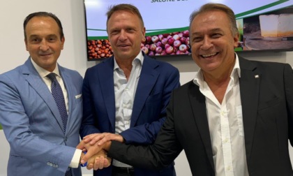 Giandujotto di Torino, in Gazzetta Ufficiale il via libera all’Igp