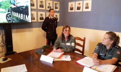 Alessandria: lupi abbattuti in forte aumento. La denuncia dei Carabinieri Forestali