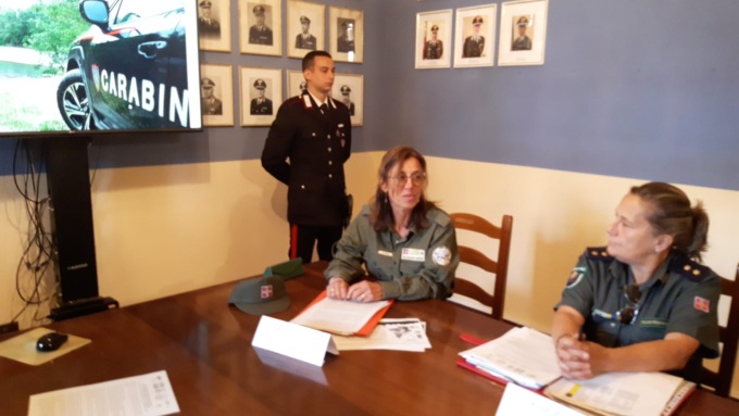 Alessandria: lupi abbattuti in forte aumento. La denuncia dei Carabinieri Forestali