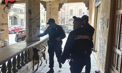 Controlli dei Carabinieri con i cani antidroga nei centri storici di Novi Ligure e Serravalle Scrivia